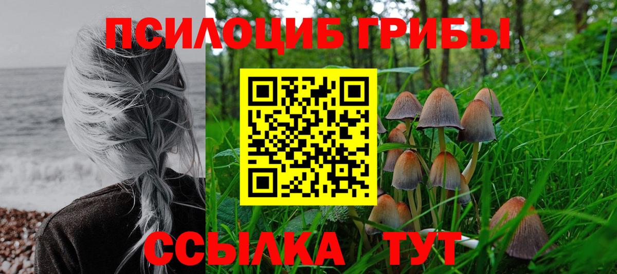Галлюциногенные грибы ЛСД Сальск